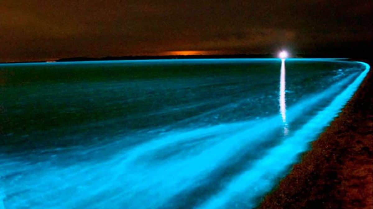 Découvrez Water Light : une rencontre magique entre l'eau et la lumière