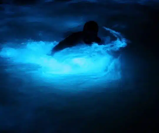 Découvrez Water Light : une rencontre magique entre l'eau et la lumière