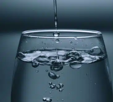 Découvrez les avantages des fontaines à eau dans les restaurants
