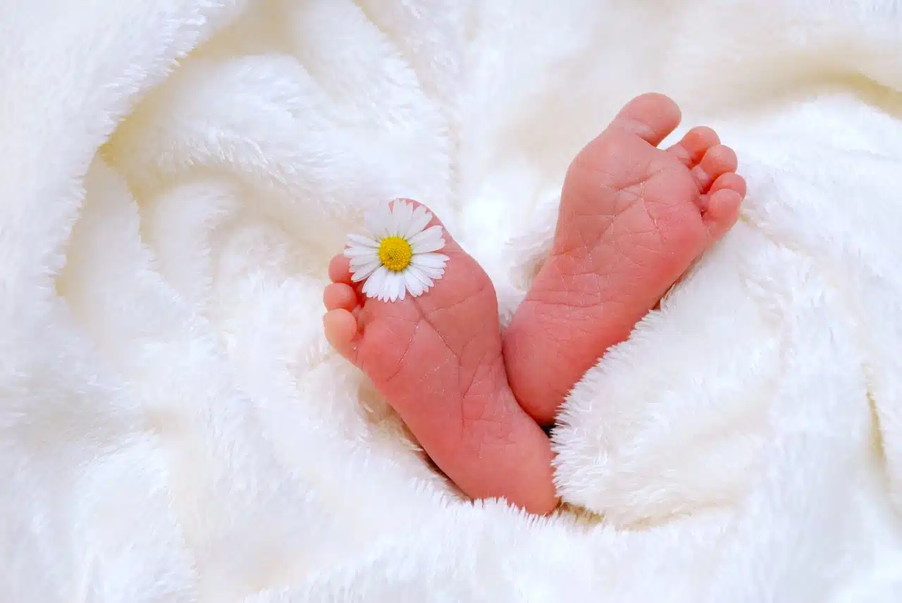 Liste de naissance
