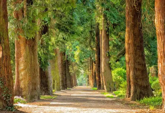 Tourisme en Normandie : nos destinations préférés dans l'Orne