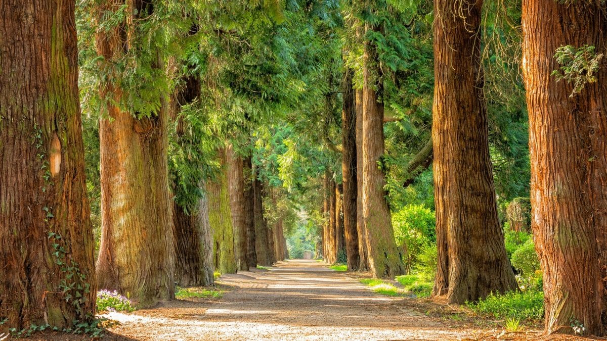 Tourisme en Normandie : nos destinations préférés dans l'Orne